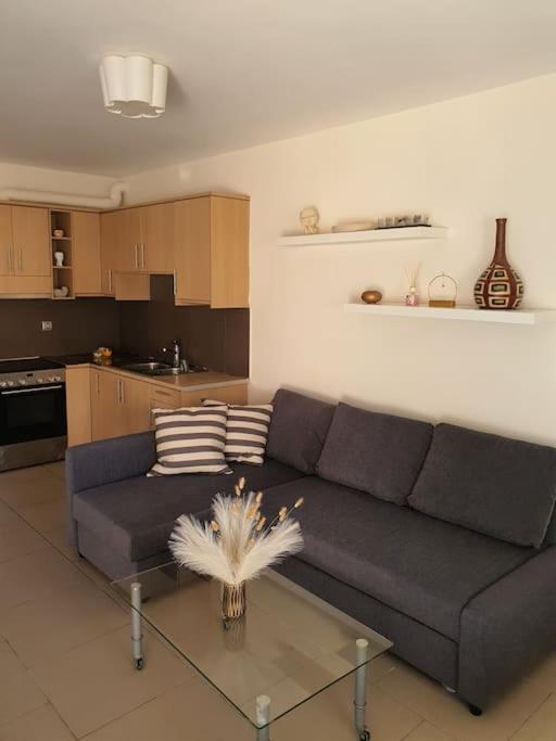 Korais Apartment, Chania Crete Kounoupidhianá Extérieur photo